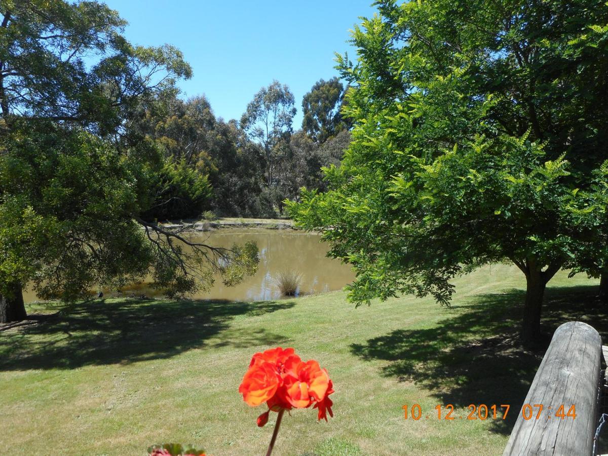 Wurrung B & B - The Cottage Woodend Eksteriør bilde
