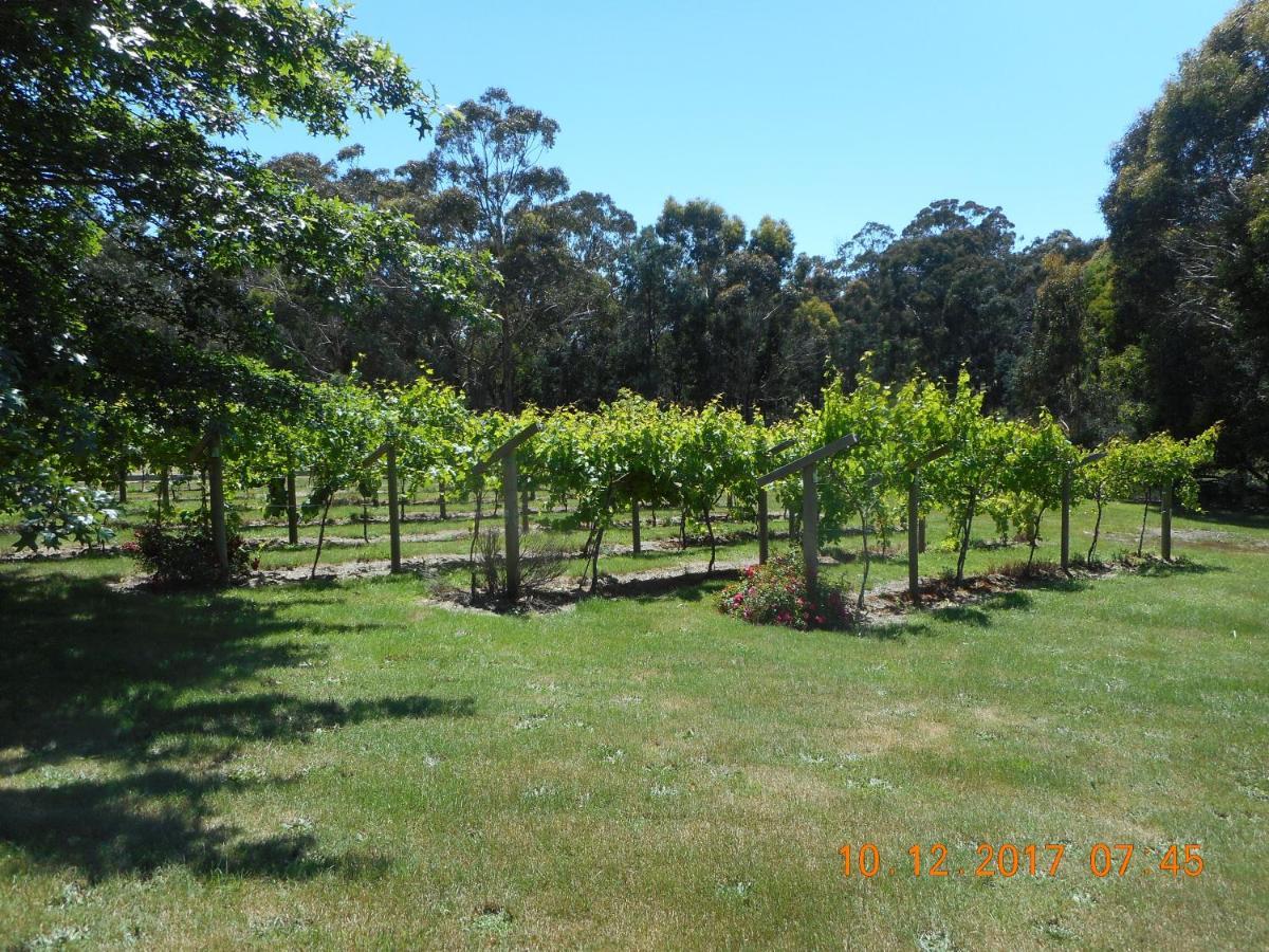 Wurrung B & B - The Cottage Woodend Eksteriør bilde