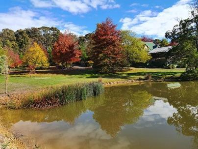 Wurrung B & B - The Cottage Woodend Eksteriør bilde