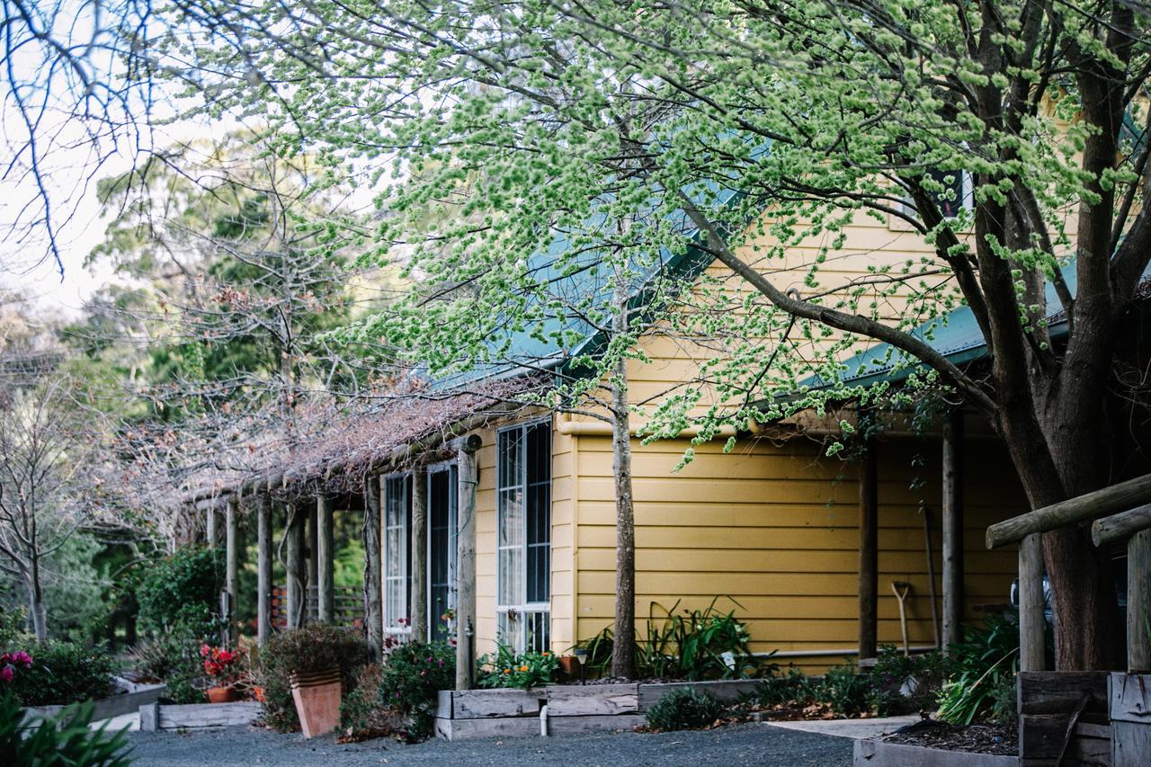 Wurrung B & B - The Cottage Woodend Eksteriør bilde
